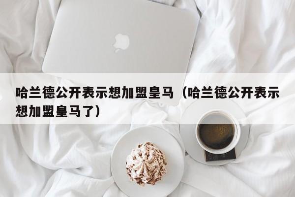 哈兰德公开表示想加盟皇马（哈兰德公开表示想加盟皇马了）